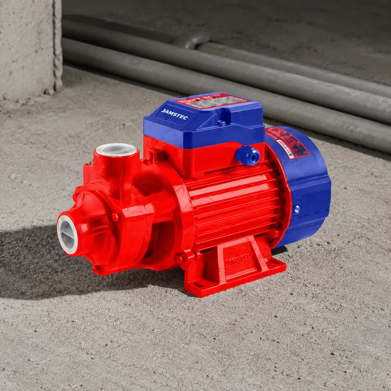 Bomba Ladrona 1.0 Hp Emtop — vista 3