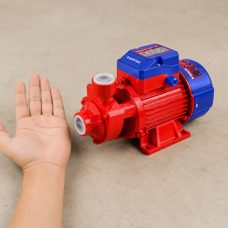 Bomba Ladrona 0.5 Hp Emtop — vista 3