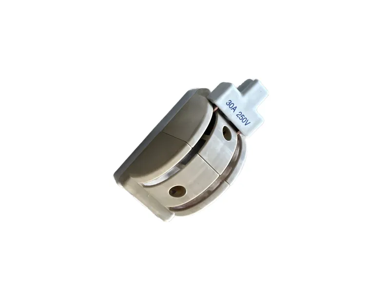 Switch Doble Tiro Japones 2p 30 Amp — vista 3