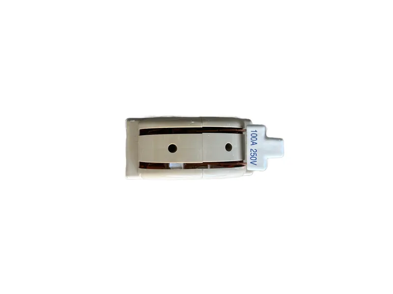 Switch Doble Tiro Japones 2p 100 Amp — vista 2