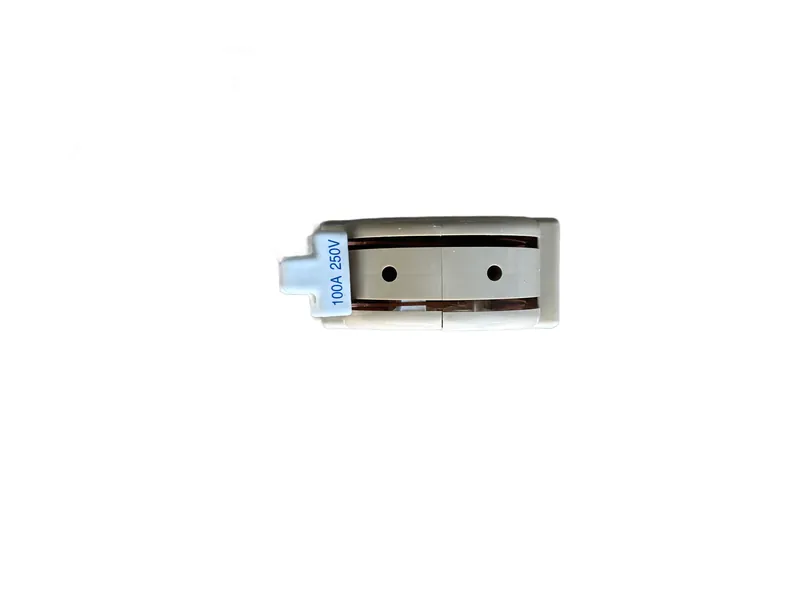 Switch Doble Tiro Japones 2p 100 Amp