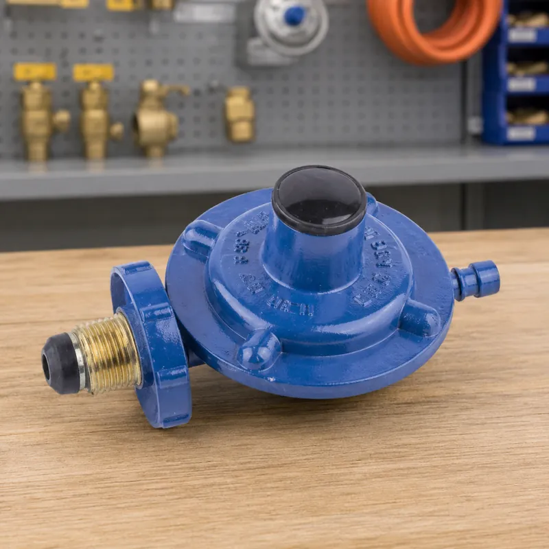 Regulador De Gas Azul Grande Jyt-0.6a — vista 2