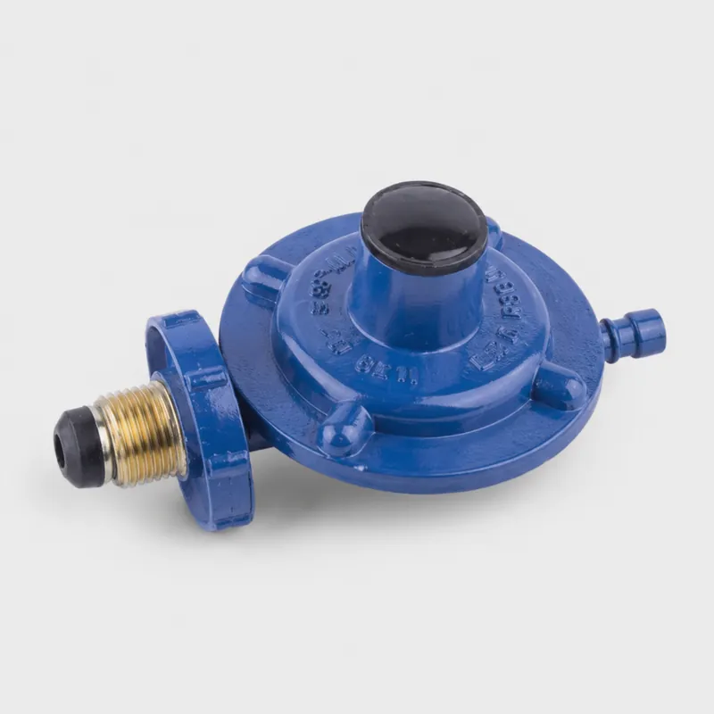 Regulador De Gas Azul Grande Jyt-0.6a