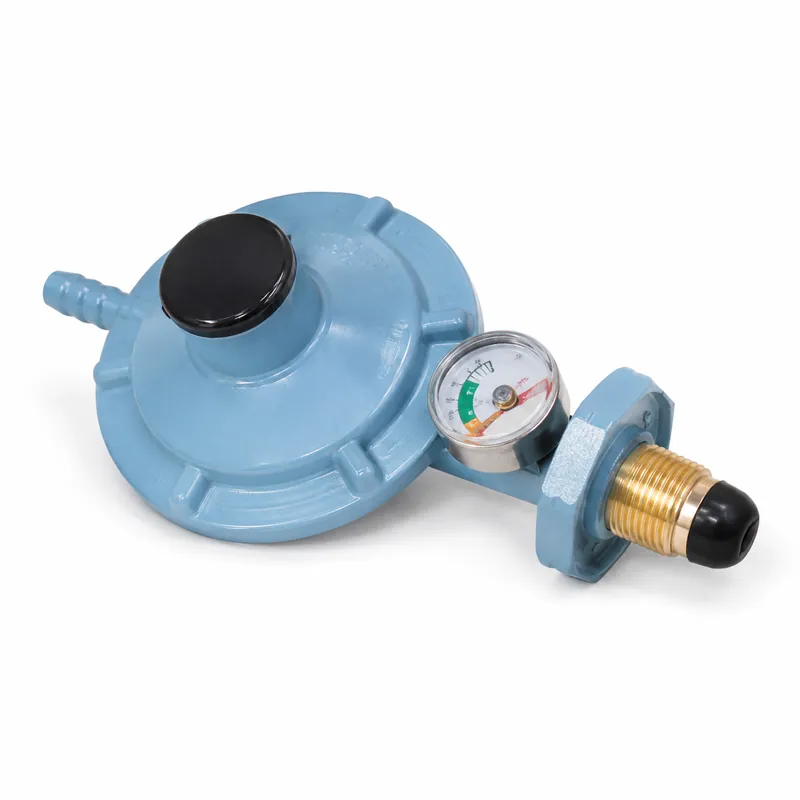 Regulador De Gas Azul Grande Con Medidor Jyt-0.6a